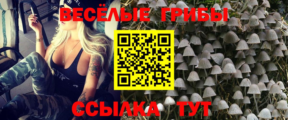 Псилоцибиновые грибы Magic Shrooms Канаш