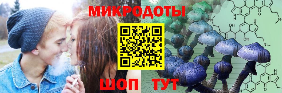 Канаш  Псилоцибиновые грибы мицелий  Вход с VPN 